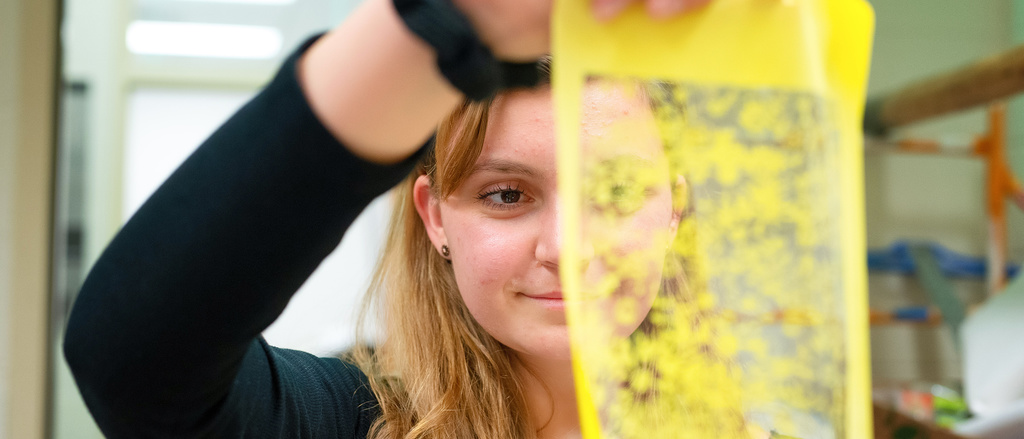 Student taking the First-Year Seminar, The Artistic Side of Science: Computing and Patterns in Nature course